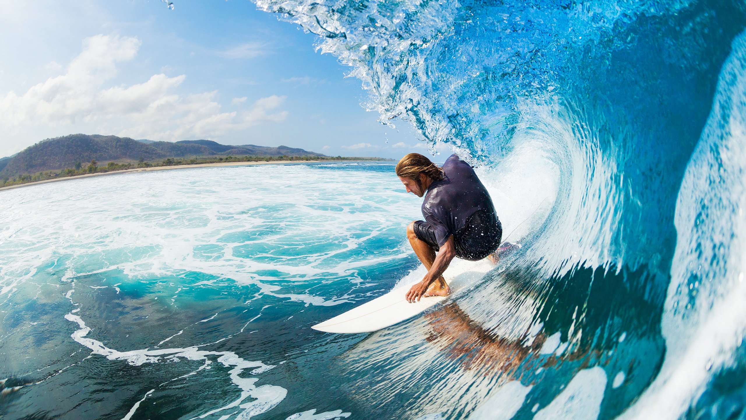 自由泳巅峰对决,新星闪耀世锦赛,老将坚守传奇
